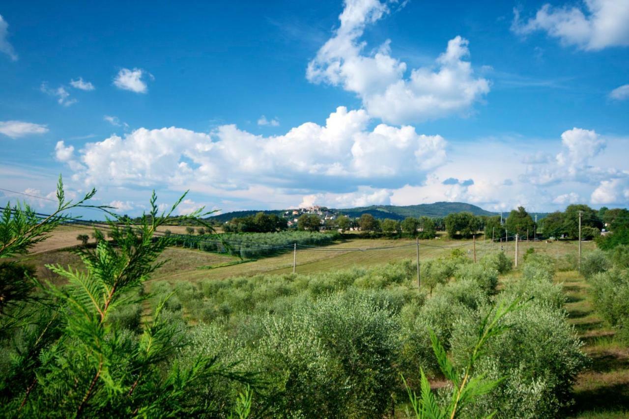 Casa Rondini Διαμέρισμα Montegabbione Εξωτερικό φωτογραφία
