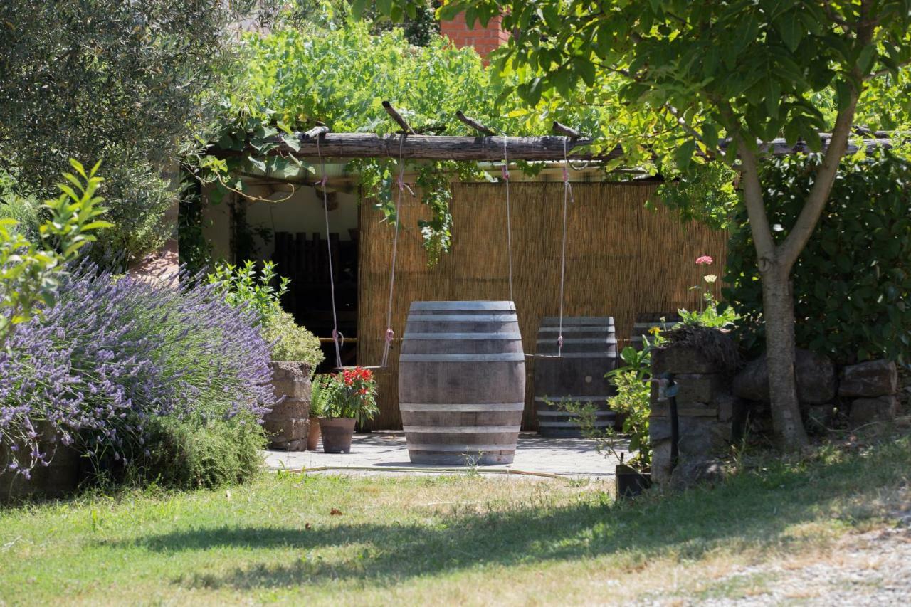 Casa Rondini Διαμέρισμα Montegabbione Εξωτερικό φωτογραφία